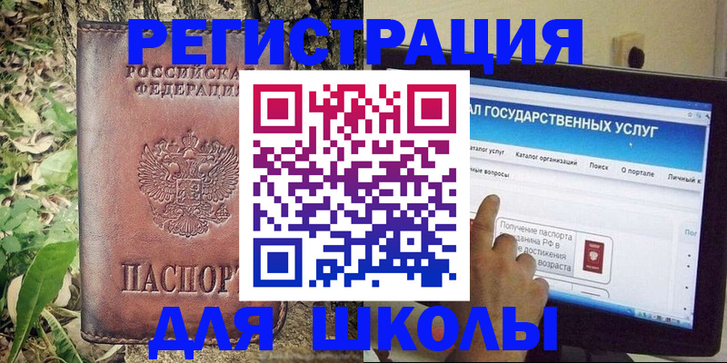 прописка для школы в Советской Гавани